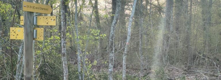 Après la tempête, les chemins oubliés